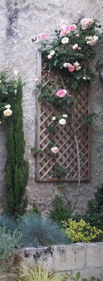 Hotel De Biencourt Azay-le-Rideau Exterior foto